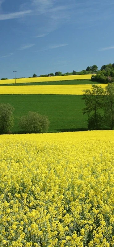 PeelitStickit, Beautiful Landscapes Wall Murals, ID-084, vinyl