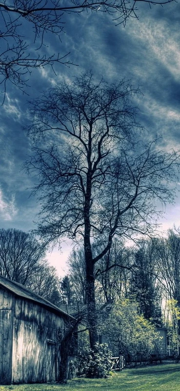 PeelitStickit, Beautiful Landscapes Wall Murals, ID-088, vinyl