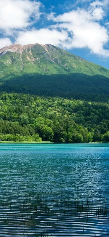 PeelitStickit, Beautiful Landscapes Wall Murals, ID-098, vinyl