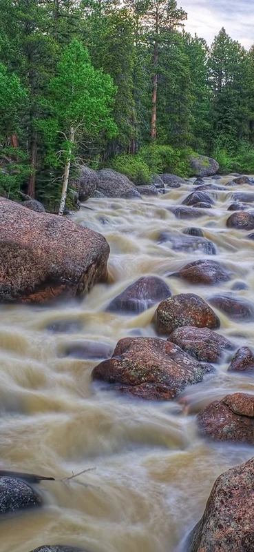 PeelitStickit, Beautiful Landscapes Wall Murals, ID-104, vinyl