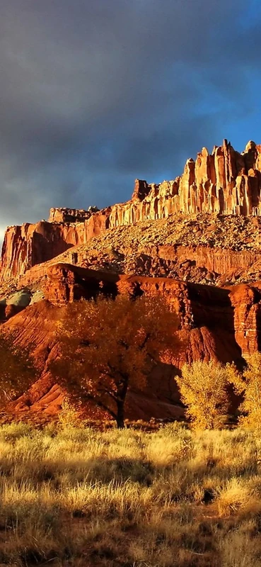 PeelitStickit, Beautiful Landscapes Wall Murals, ID-109, vinyl