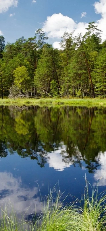 PeelitStickit, Beautiful Landscapes Wall Murals, ID-134, vinyl