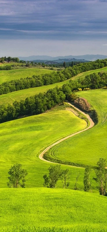 PeelitStickit, Beautiful Landscapes Wall Murals, ID-132, vinyl