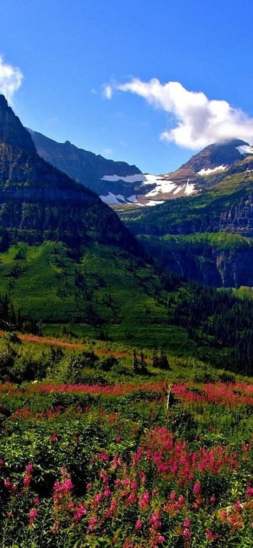 PeelitStickit, Beautiful Landscapes Wall Murals, ID-137, vinyl