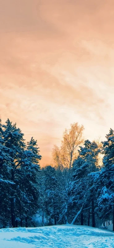 PeelitStickit, Beautiful Landscapes Wall Murals, ID-142, vinyl