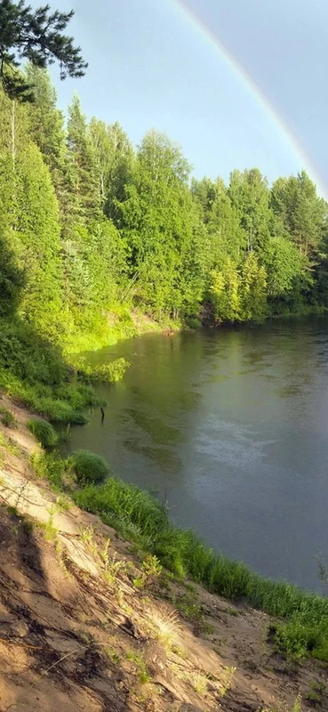 PeelitStickit, Beautiful Landscapes Wall Murals, ID-141, vinyl