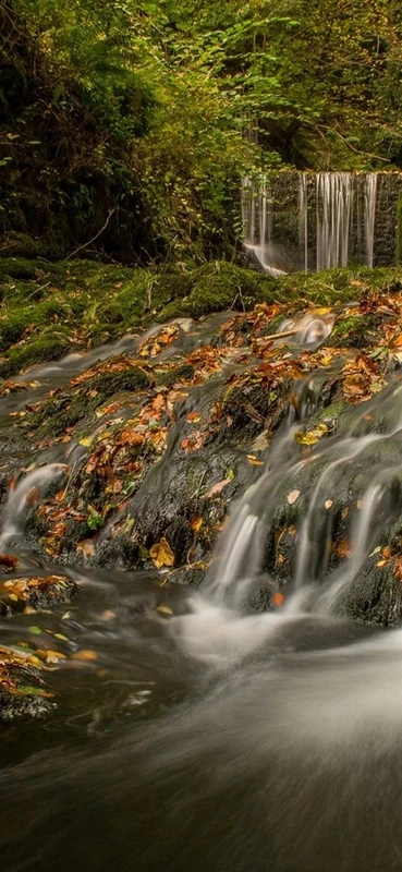 PeelitStickit, Beautiful Landscapes Wall Murals, ID-167, vinyl