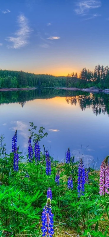 PeelitStickit, Beautiful Landscapes Wall Murals, ID-173, vinyl