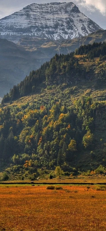 PeelitStickit, Beautiful Landscapes Wall Murals, ID-177, vinyl