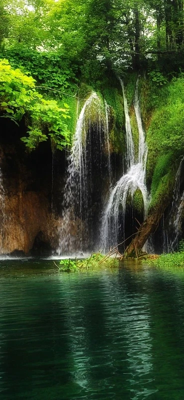 PeelitStickit, Beautiful Landscapes Wall Murals, ID-183, vinyl