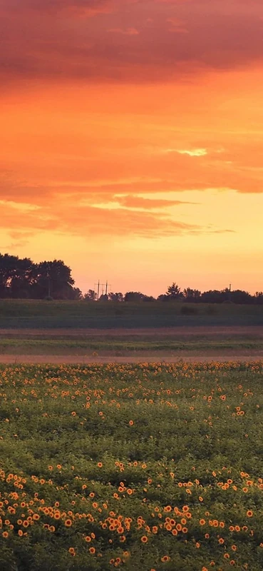 PeelitStickit, Beautiful Landscapes Wall Murals, ID-196, vinyl