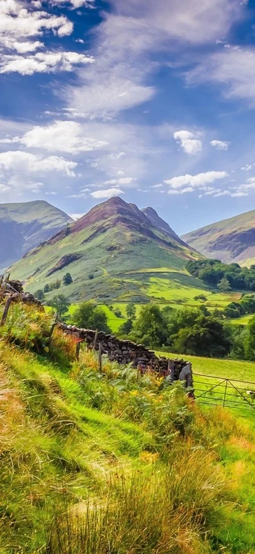 PeelitStickit ID-199 60 Width x 130 cm Height Beautiful Landscape Vinyl Wall Mural