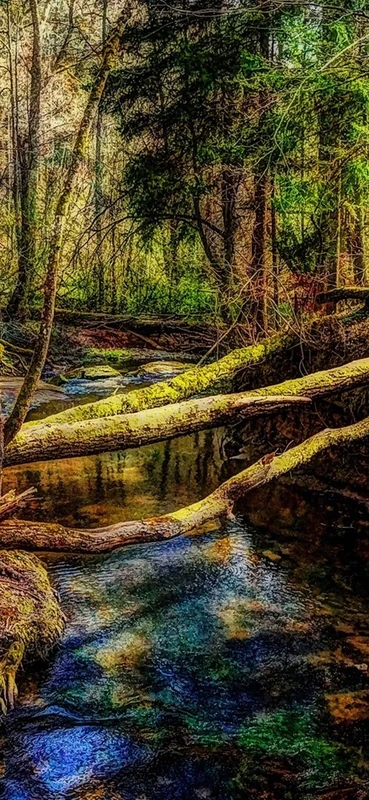 PeelitStickit, Beautiful Landscapes Wall Murals, ID-205, vinyl