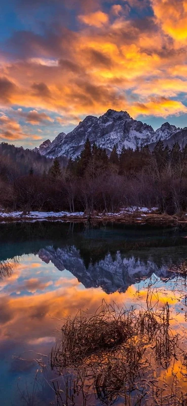 PeelitStickit, Beautiful Landscapes Wall Murals, ID-210, vinyl