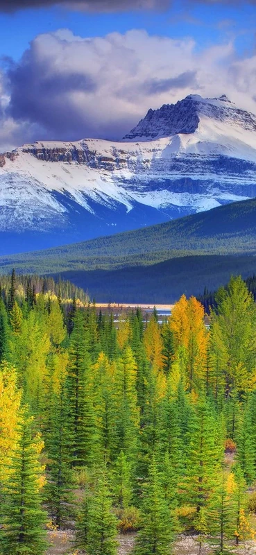 PeelitStickit, Beautiful Landscapes Wall Murals, ID-211, vinyl