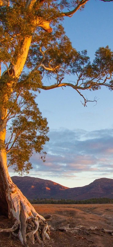 PeelitStickit, Beautiful Landscapes Wall Murals, ID-214, vinyl