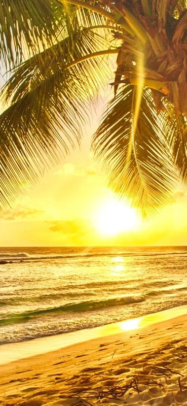 PeelitStickit, Beautiful Landscapes Wall Murals, ID-216, vinyl