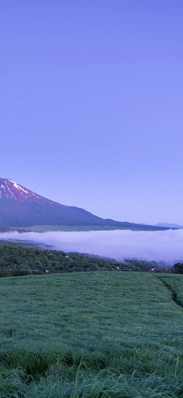 PeelitStickit, Beautiful Landscapes Wall Murals, ID-221, vinyl