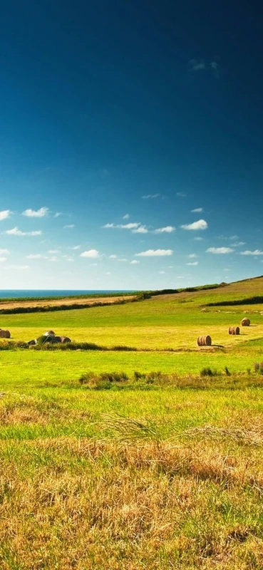 PeelitStickit, Beautiful Landscapes Wall Murals, ID-245, vinyl