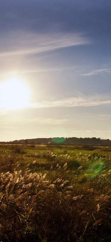 PeelitStickit, Beautiful Landscapes Wall Murals, ID-248, vinyl