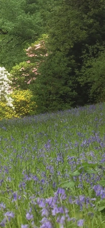 PeelitStickit, Beautiful Landscapes Wall Murals, ID-261, vinyl