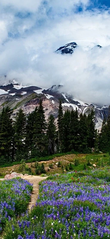 PeelitStickit, Beautiful Landscapes Wall Murals, ID-265, vinyl