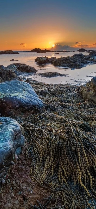 PeelitStickit, Beautiful Landscapes Wall Murals, ID-274, vinyl