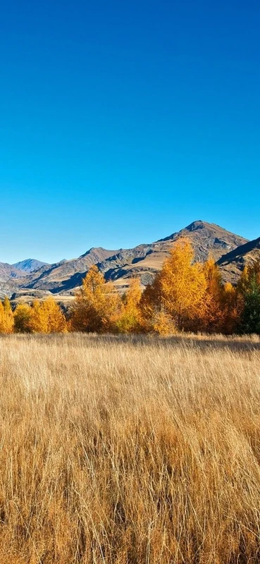 PeelitStickit, Beautiful Landscapes Wall Murals, ID-277, vinyl