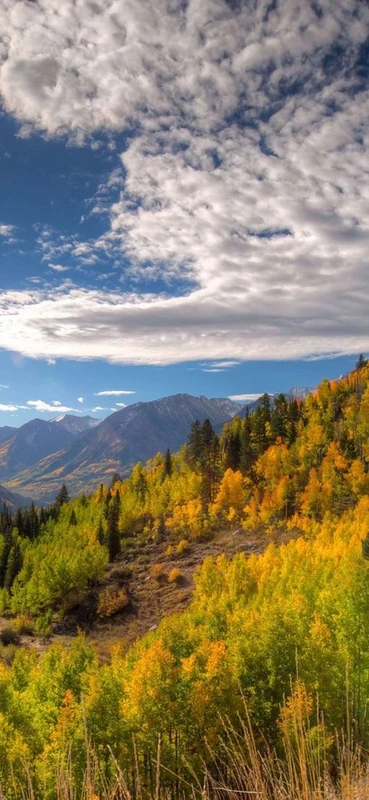 PeelitStickit, Beautiful Landscapes Wall Murals, ID-305, vinyl