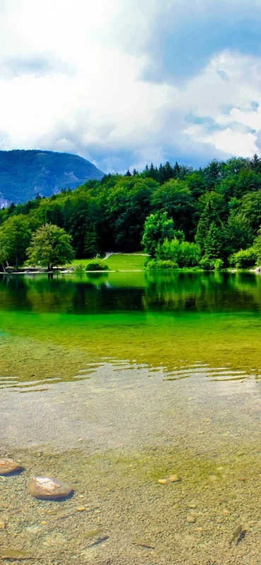 PeelitStickit, Beautiful Landscapes Wall Murals, ID-312, vinyl