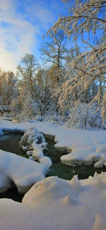 PeelitStickit, Beautiful Landscapes Wall Murals, ID-316, vinyl