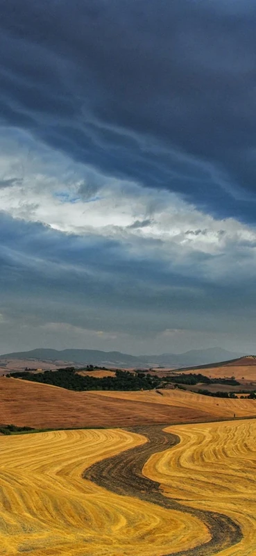 PeelitStickit, Beautiful Landscapes Wall Murals, ID-317, vinyl