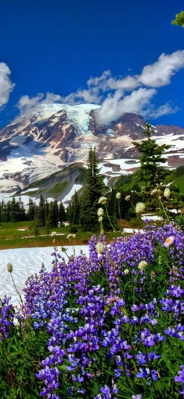 PeelitStickit, Beautiful Landscapes Wall Murals, ID-346, vinyl