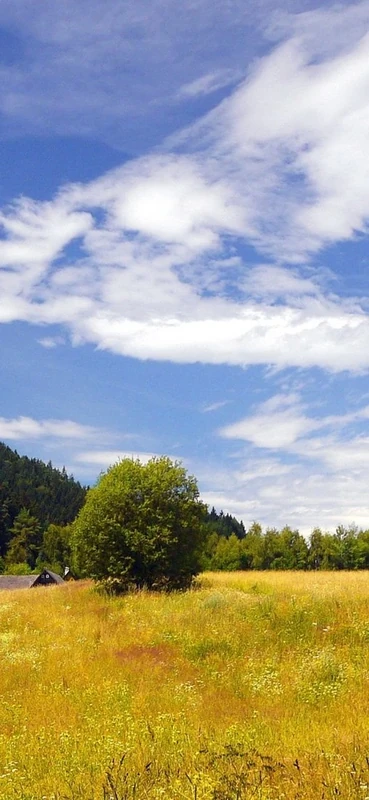 PeelitStickit, Beautiful Landscapes Wall Murals, ID-345, vinyl