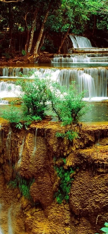 PeelitStickit, Beautiful Landscapes Wall Murals, ID-357, vinyl