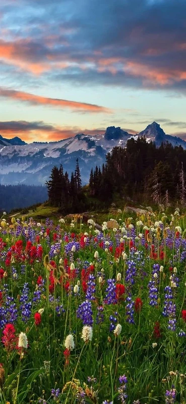 PeelitStickit, Beautiful Landscapes Wall Murals, ID-368, vinyl