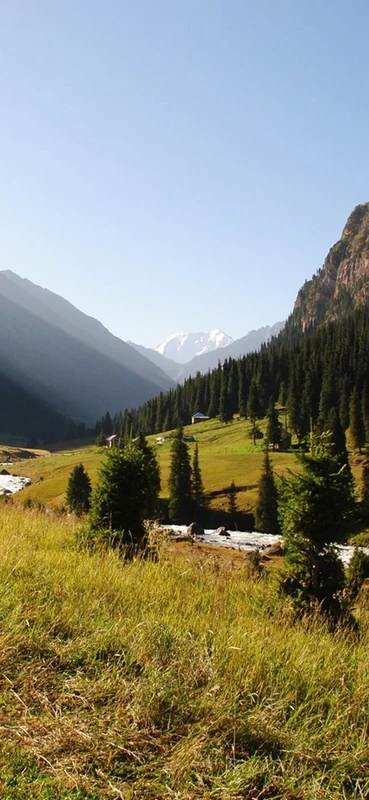 PeelitStickit, Beautiful Landscapes Wall Murals, ID-369, vinyl