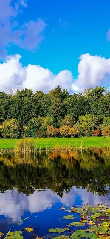 PeelitStickit, Beautiful Landscapes Wall Murals, ID-388, vinyl