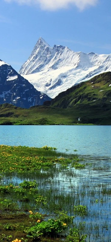 PeelitStickit, Beautiful Landscapes Wall Murals, ID-391, vinyl