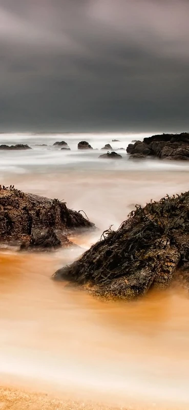 PeelitStickit, Beautiful Nature Wall Murals, ID-0003, vinyl