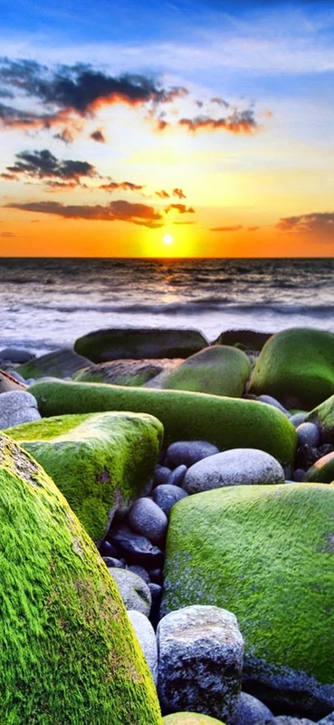 PeelitStickit, Beautiful Nature Wall Murals, ID-0006, vinyl