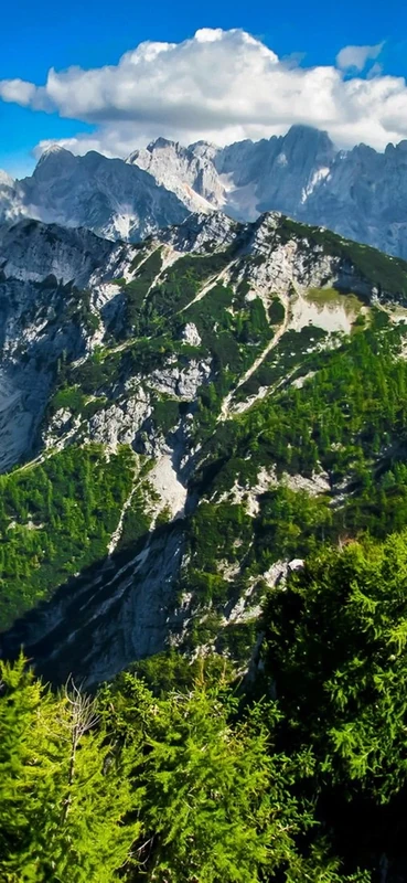 PeelitStickit, Beautiful Nature Wall Murals, ID-0011, vinyl