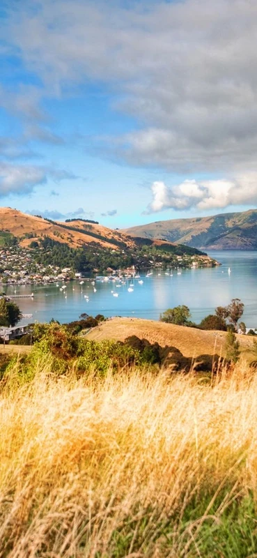 PeelitStickit, Beautiful Nature Wall Murals, ID-0015, vinyl