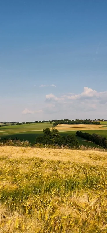 PeelitStickit ID-0009 60 Width x 130 cm Height Beautiful Nature Vinyl Wall Mural