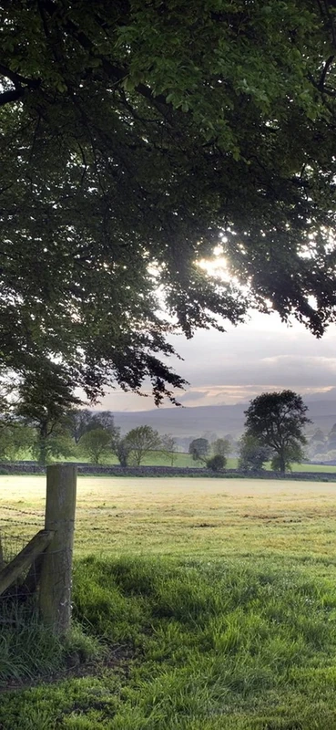 PeelitStickit, Beautiful Nature Wall Murals, ID-0008, vinyl