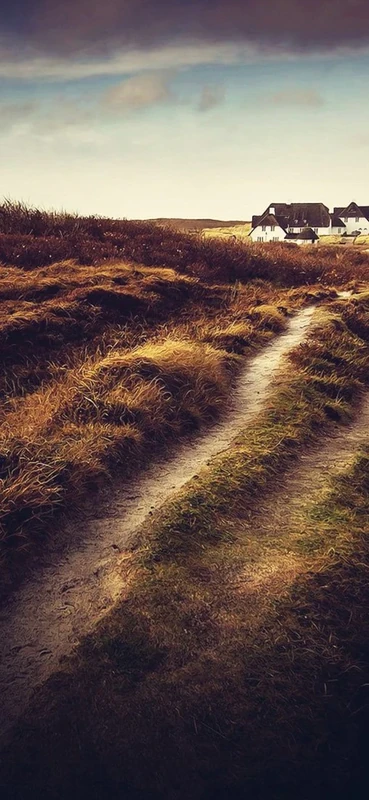 PeelitStickit, Beautiful Nature Wall Murals, ID-0010, vinyl