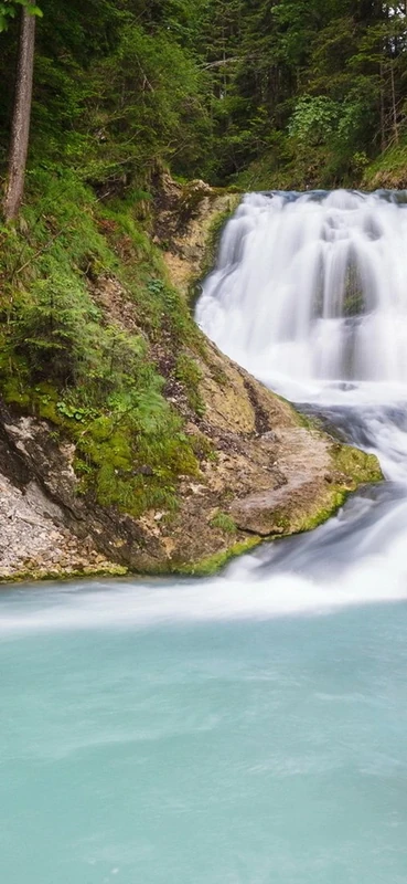 PeelitStickit, Beautiful Nature Wall Murals, ID-0018, vinyl