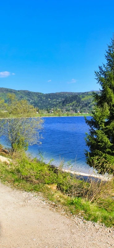 PeelitStickit, Beautiful Nature Wall Murals, ID-0014, vinyl