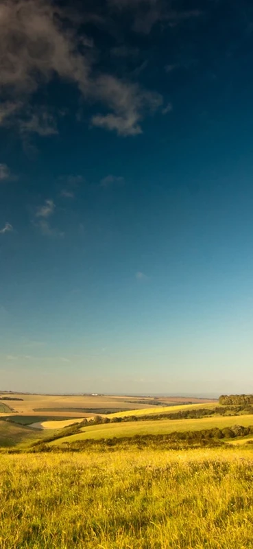 PeelitStickit, Beautiful Nature Wall Murals, ID-0023, vinyl