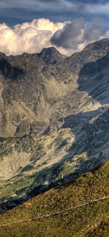 PeelitStickit, Beautiful Nature Wall Murals, ID-0031, vinyl